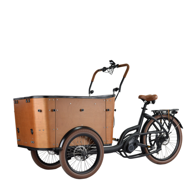 Sepeda Roda Tiga Cerdas Berkapasitas Tinggi untuk Keluarga