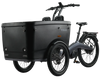 Mode de luxe de nouveau style de tricycle &eacute;lectrique d'adultes de trois roues pour le passager &agrave; prendre